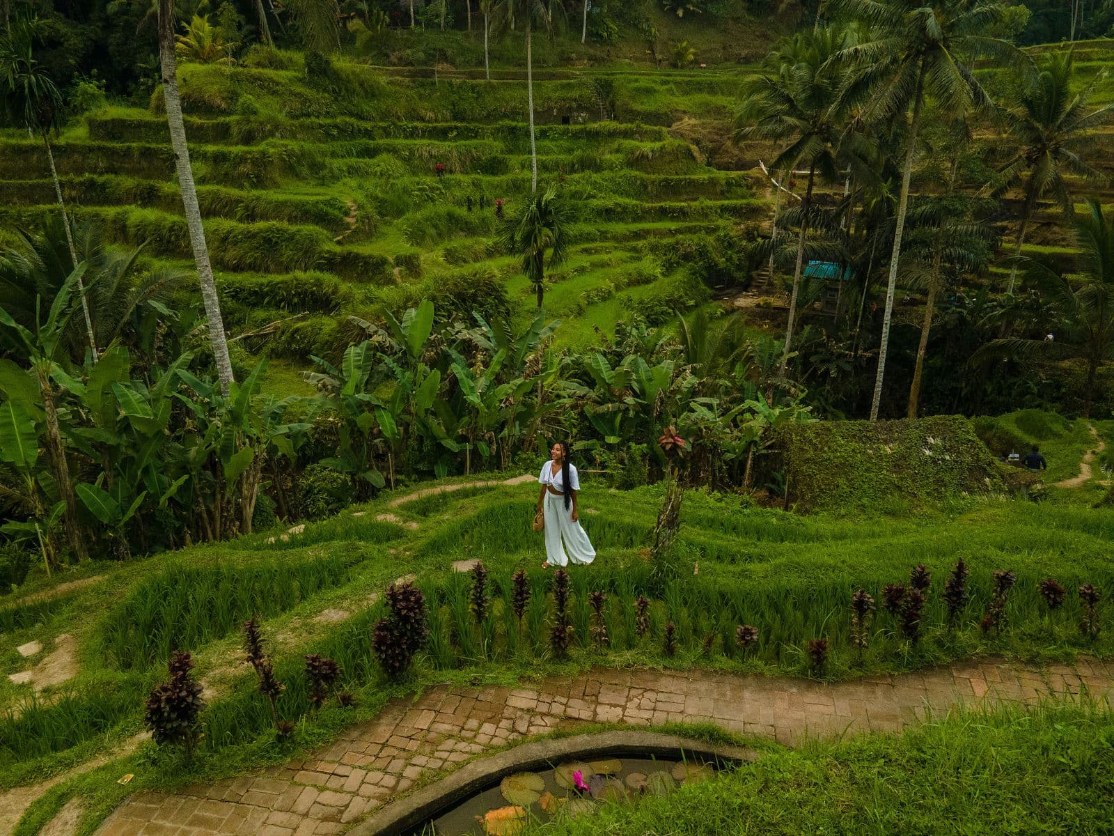 LTTA Connect Presents - The Best of Bali šŗ 2026 Retreat