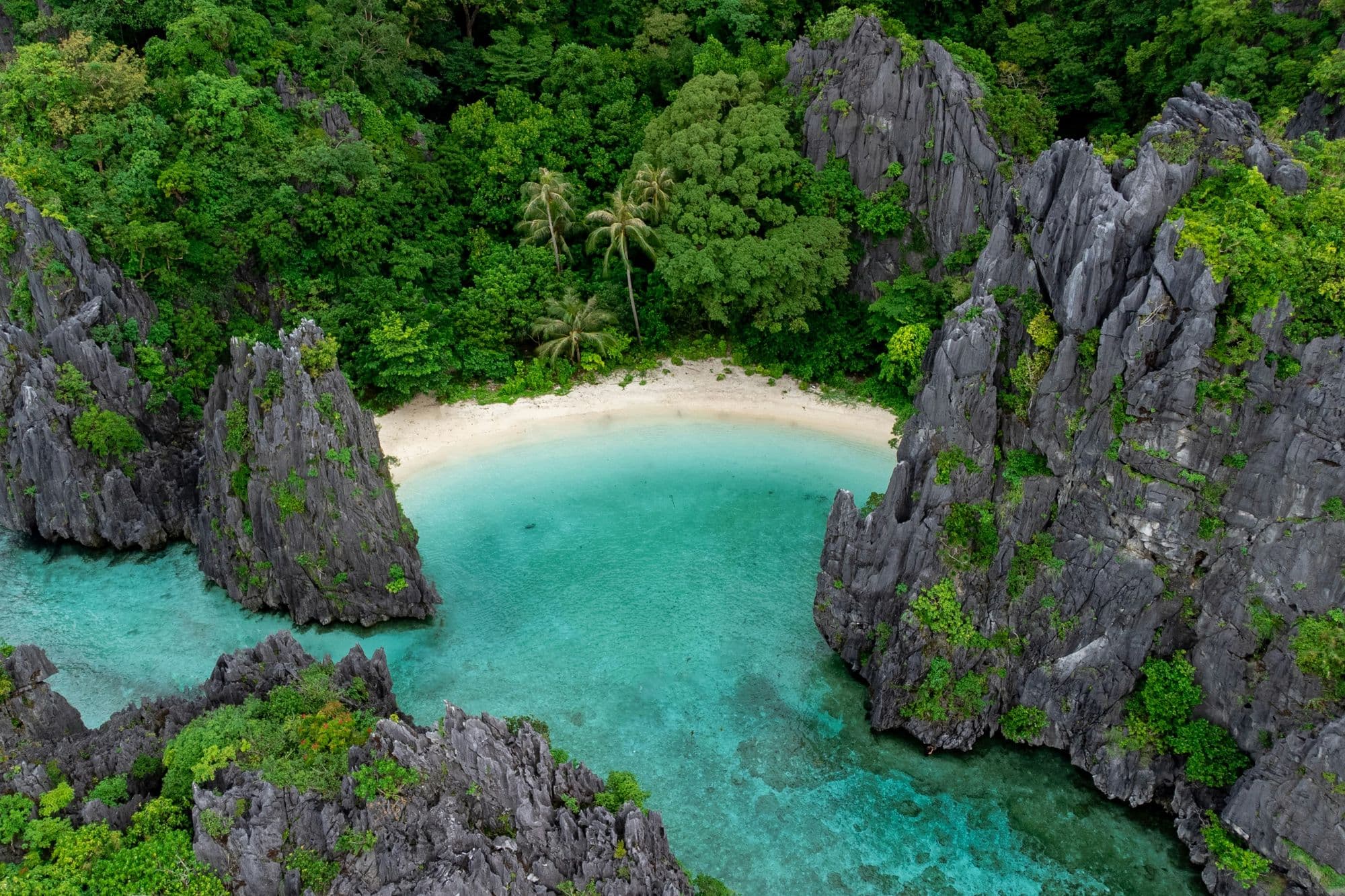 For The Explorers (Secret sand banks, snorkeling & more!)
