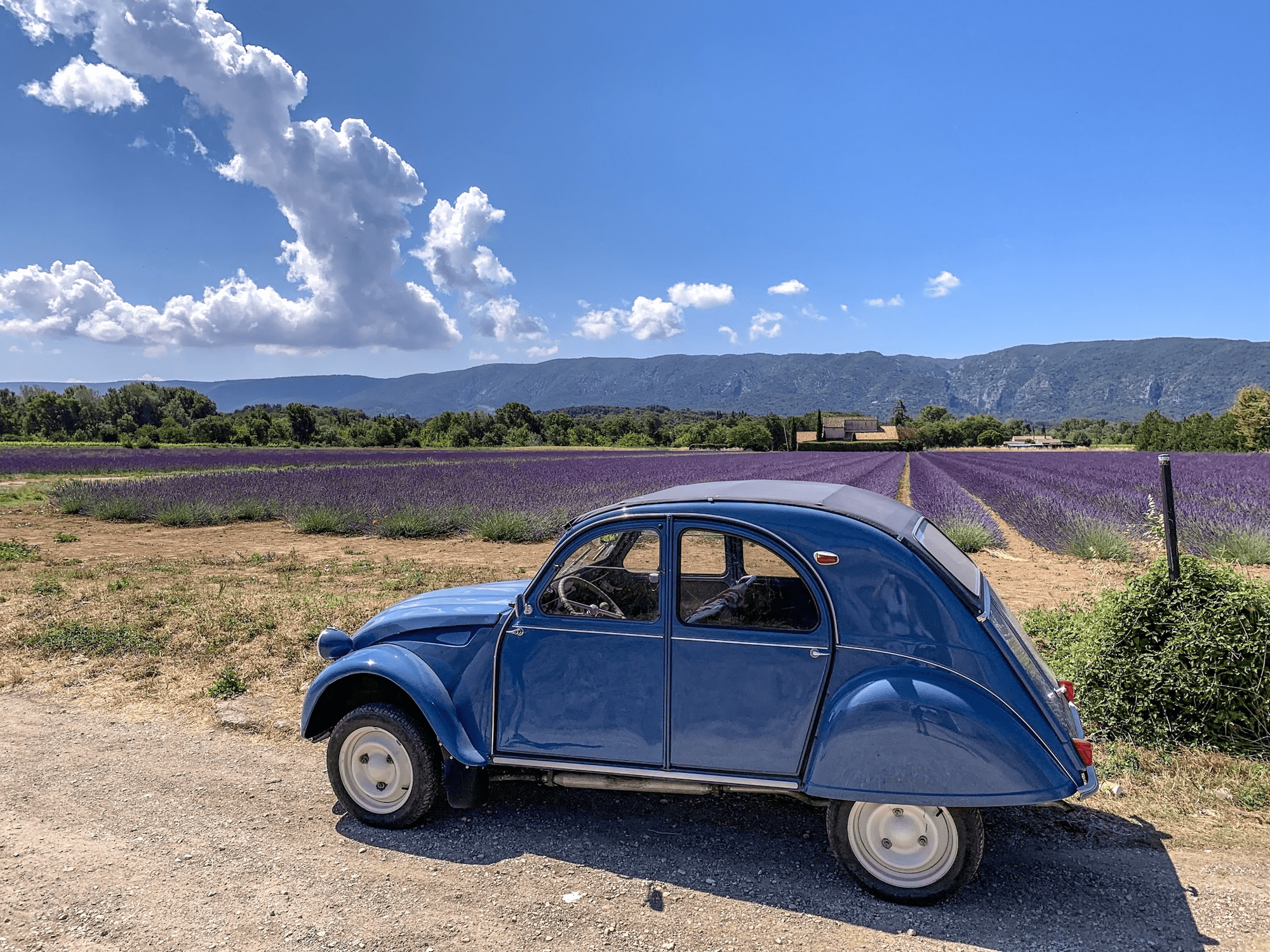 Lavender Workshop & Winery