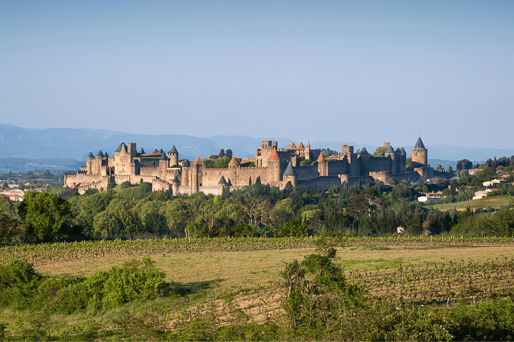 Magnificent Carcassonne & Group Dinner