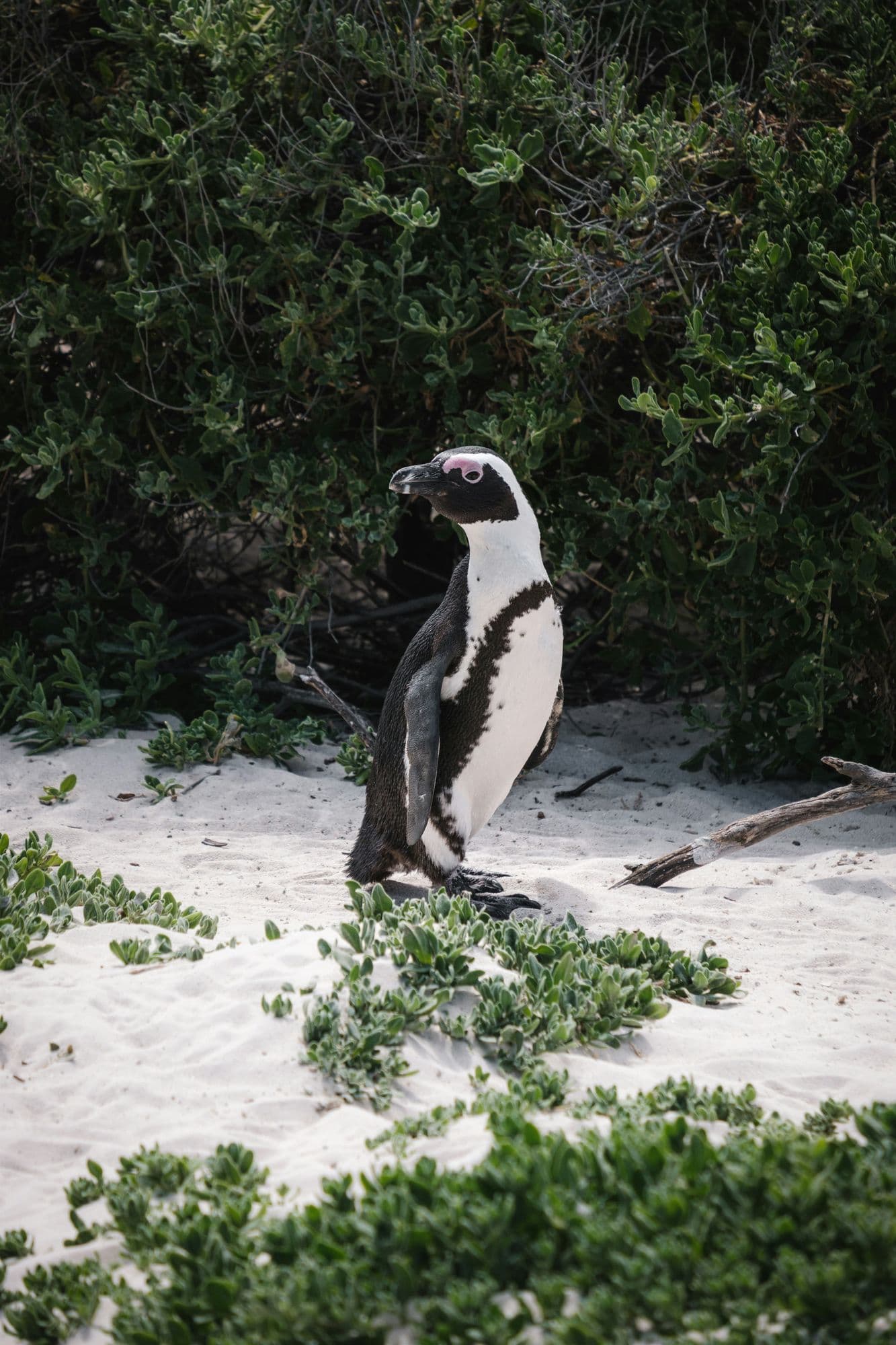 Cape Town, South Africa