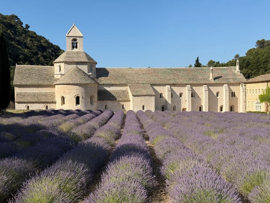Lavender, Gordes' Market, Olive Oil & Truffle Farm Visits