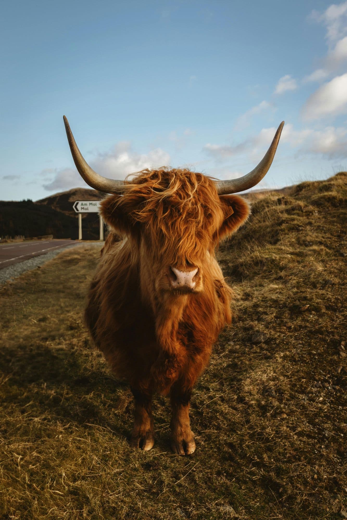Through the Highlands to the Summer Isles