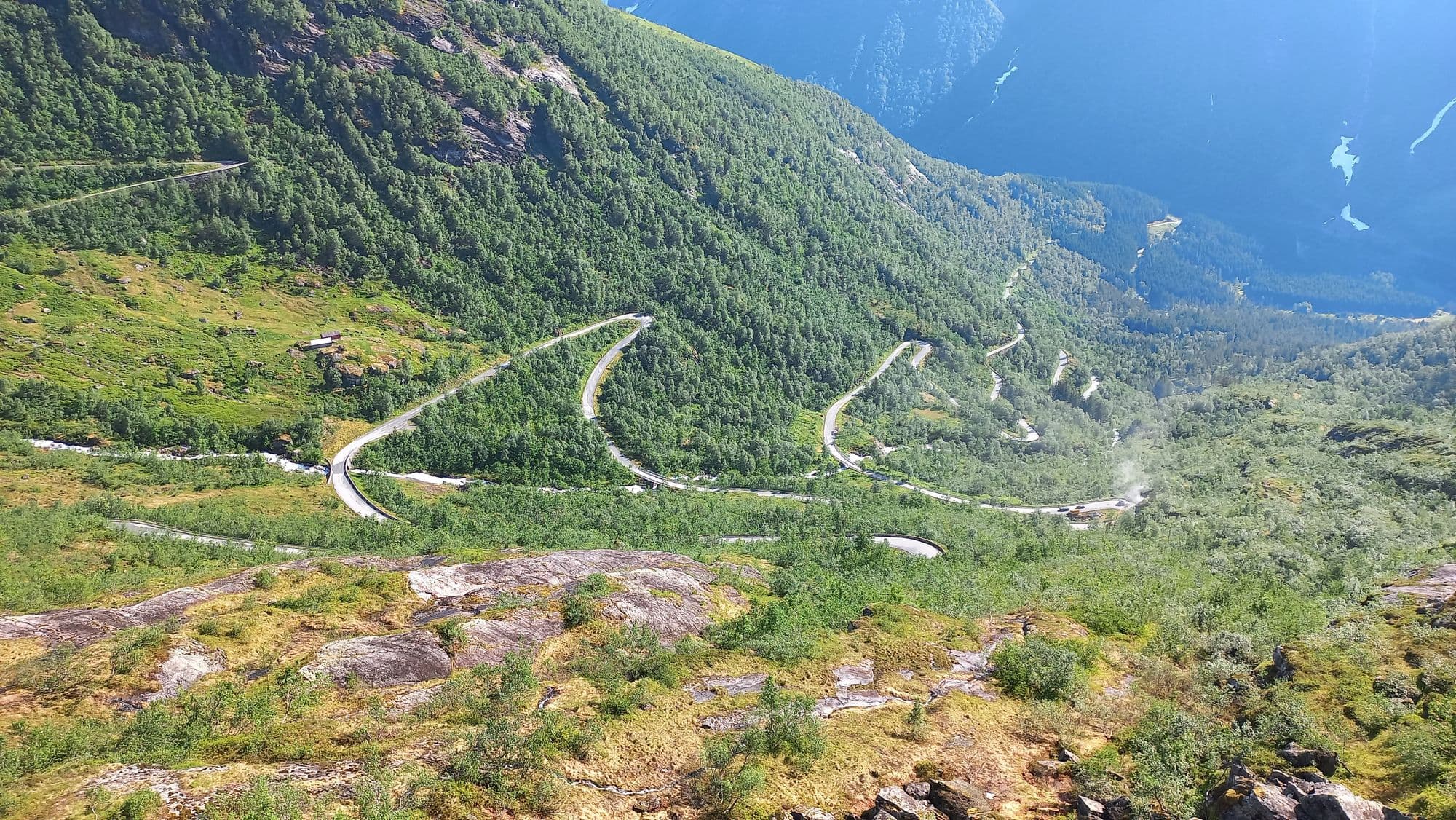 Norweigian Fjords