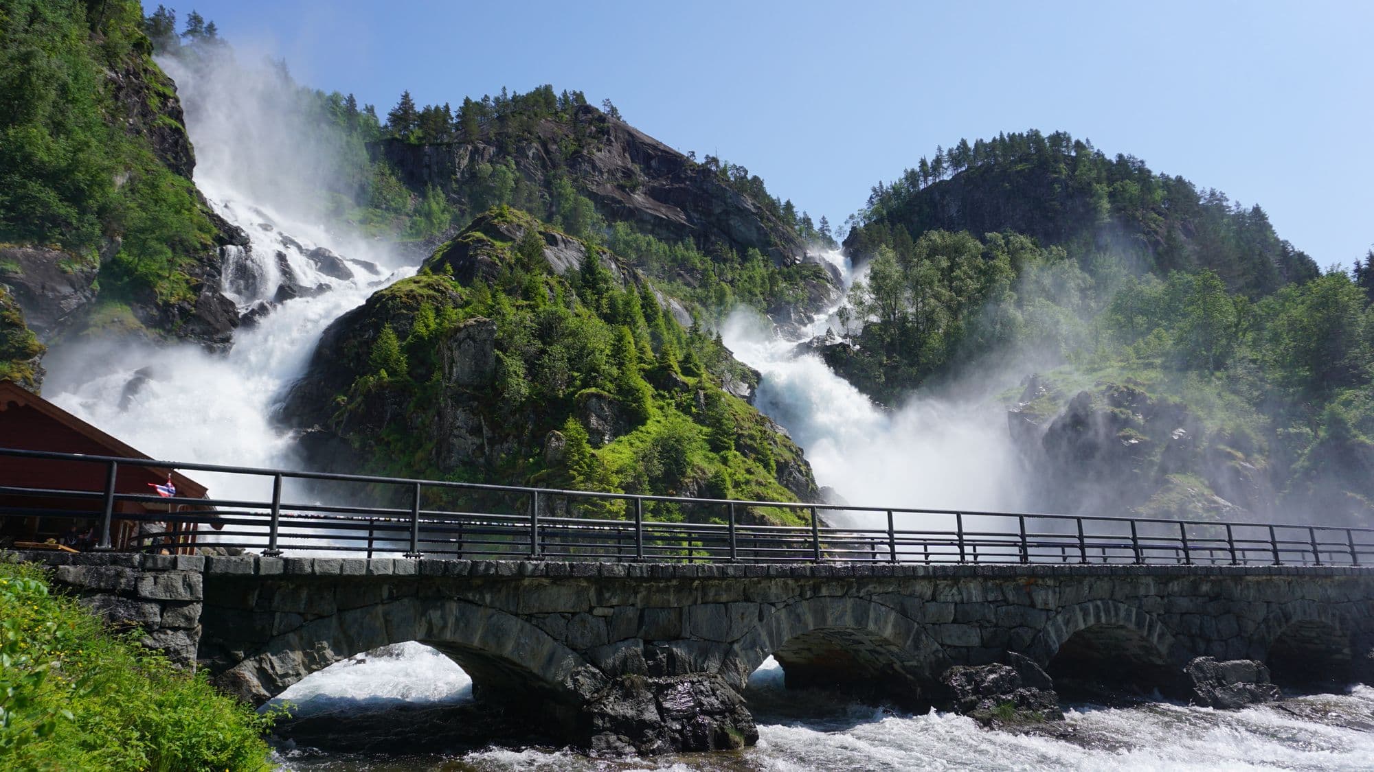Norweigian Fjords