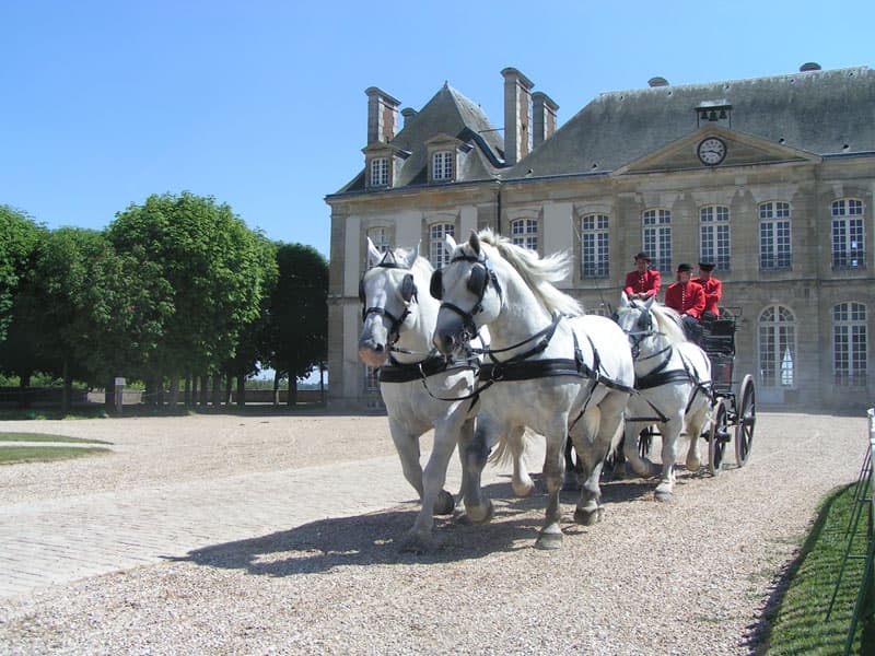 Normandy Gardens & D-Day Beaches