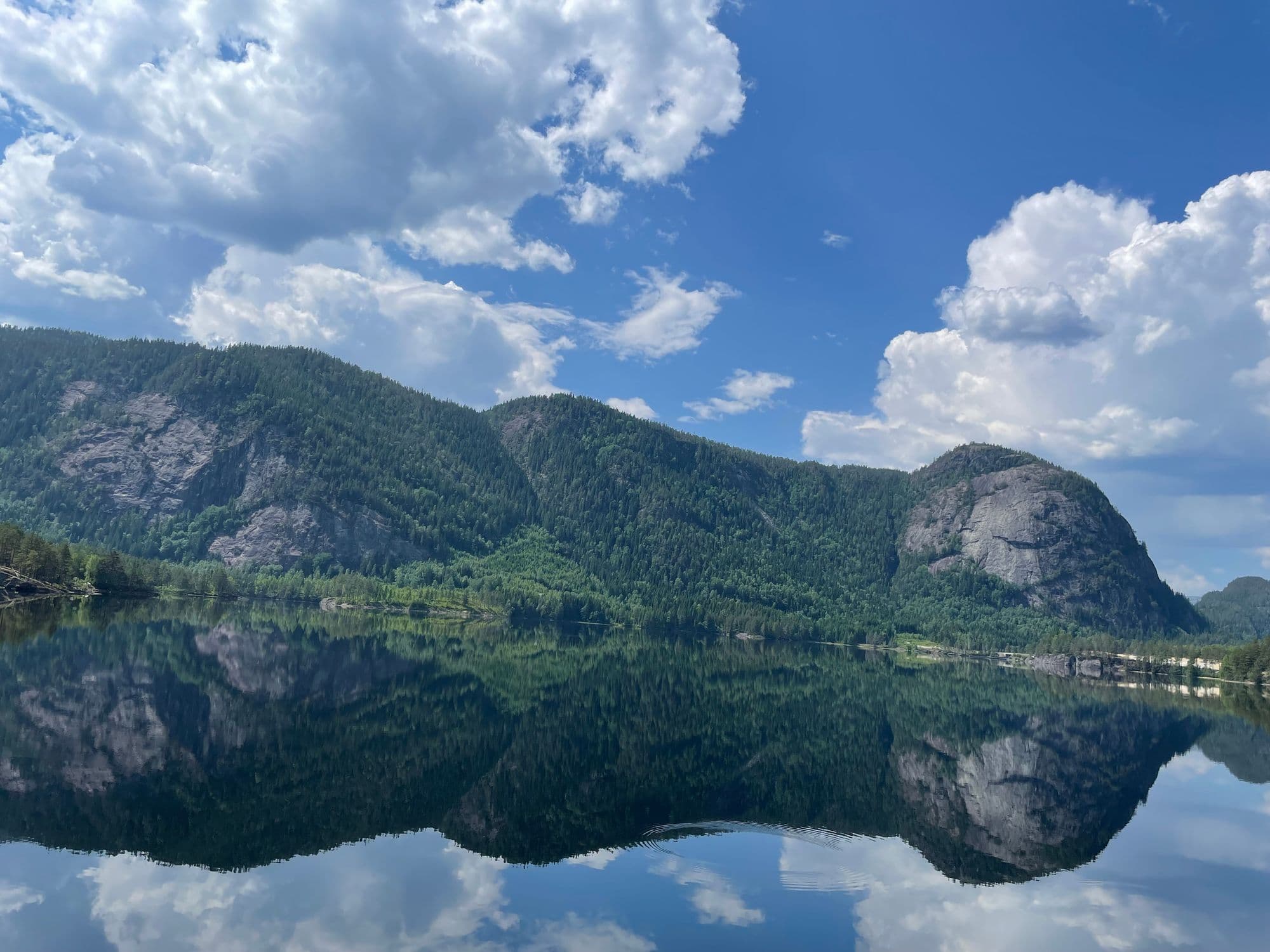 Norweigian Fjords
